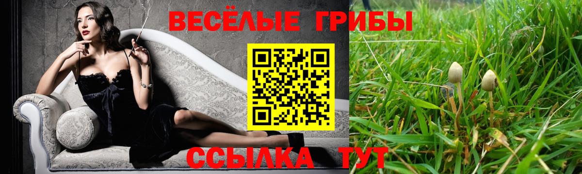 Псилоцибиновые грибы ЛСД  Вход с VPN  Звенигород 
