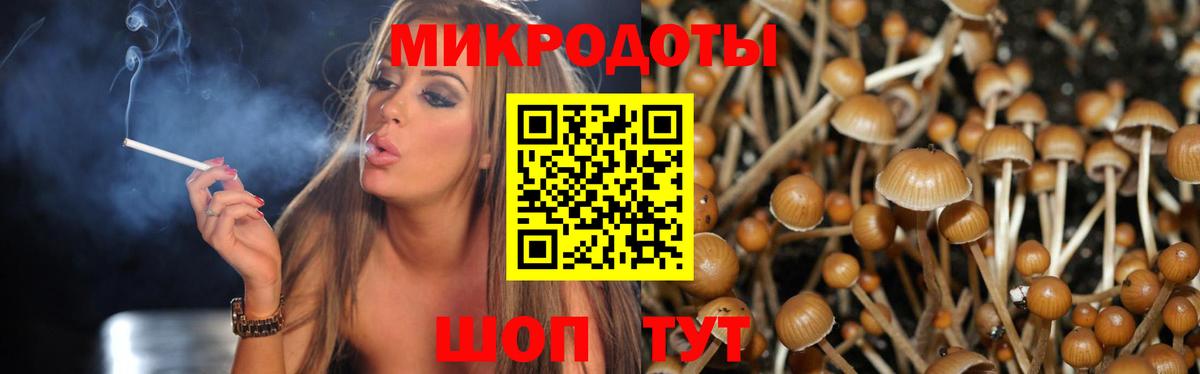 Галлюциногенные грибы Cubensis Звенигород